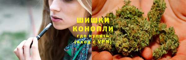 молекула духа Алзамай