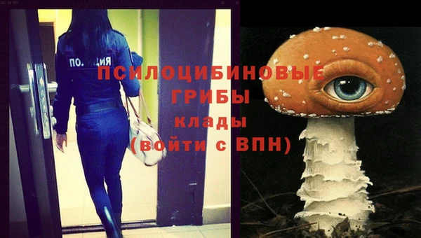кокаин премиум Алексин