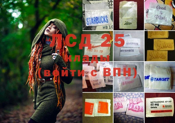 соль ск Абаза