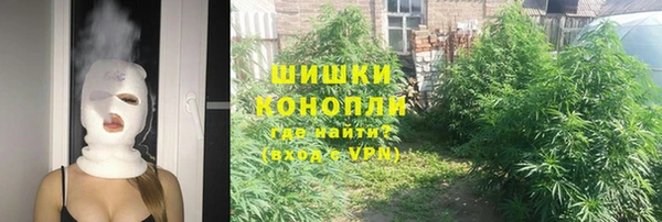 молекула духа Алзамай